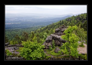 IMG_9690-Bearbeitet-Bearbeitet